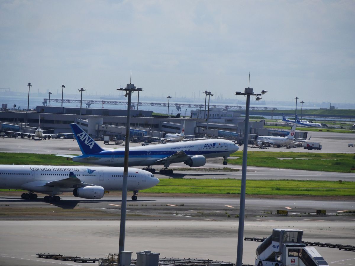 ANA and Garuda Indonesia aircraft on the apron at a Japanese airport