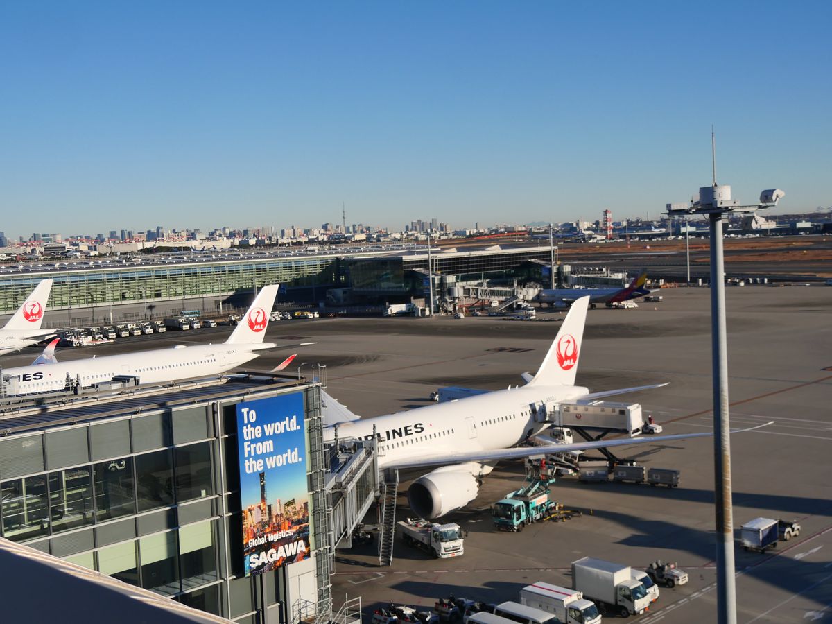 Japan Airlines aircraft at Haneda gates beneath a clear blue sky