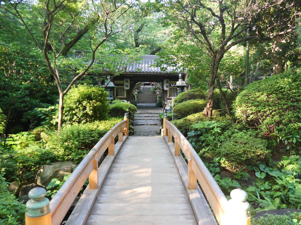 Wooden bridge leading to a temple gate surrounded by green trees, Japan