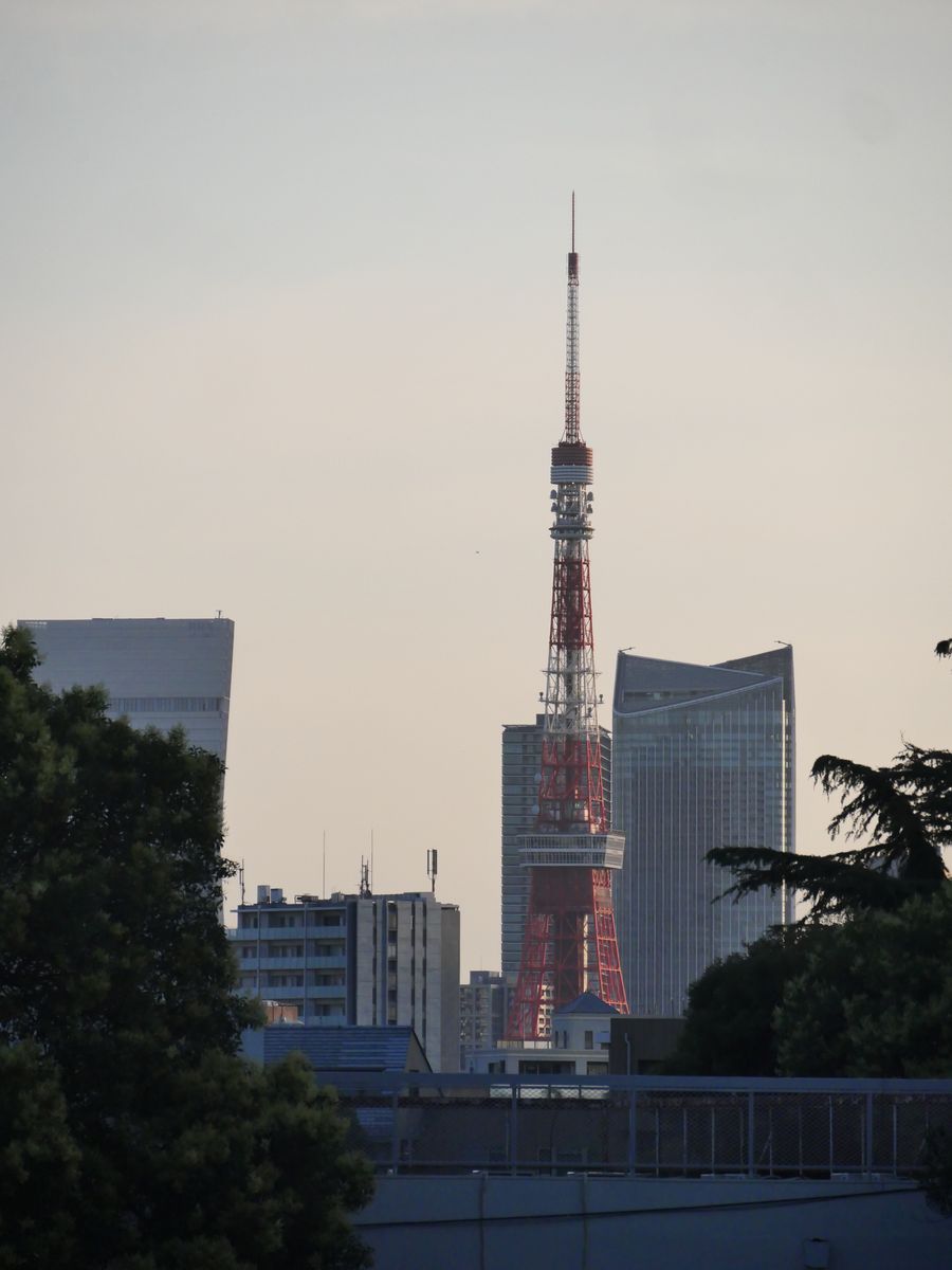 Tokyo Tower framed between office buildings in hazy evening light